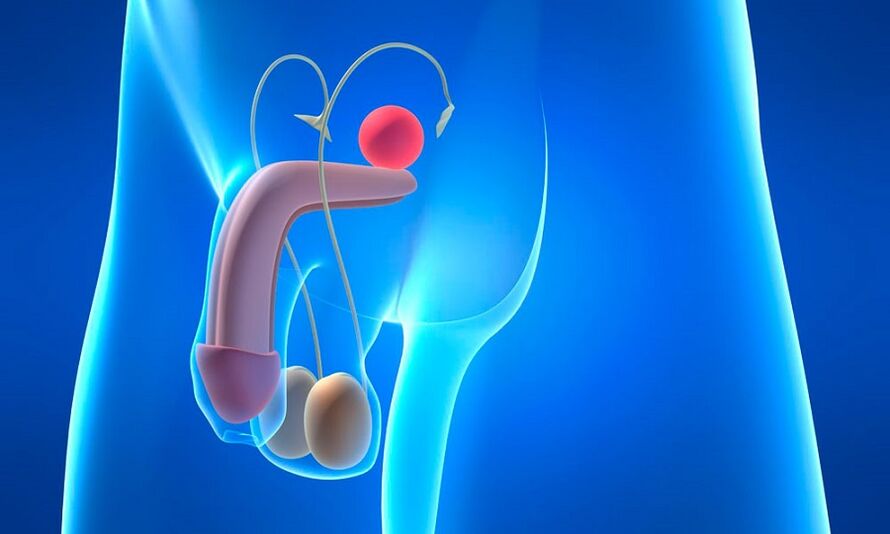 Prostatos edema sergant prostatitu